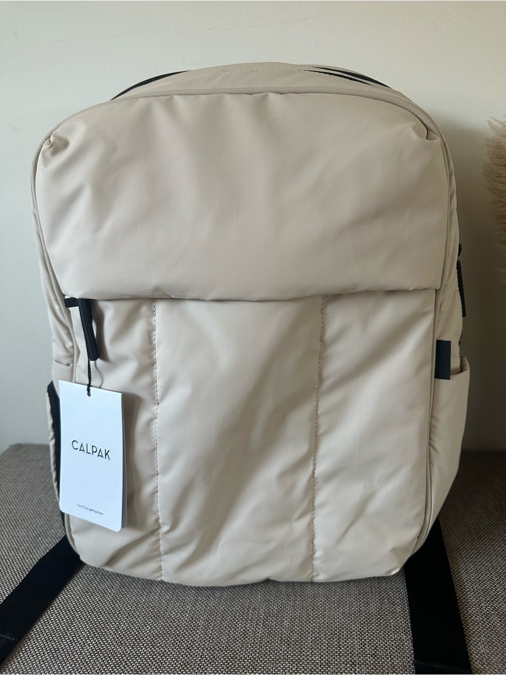 Luka 15 inch Laptop Backpack
in Oatmeal Travel Bag